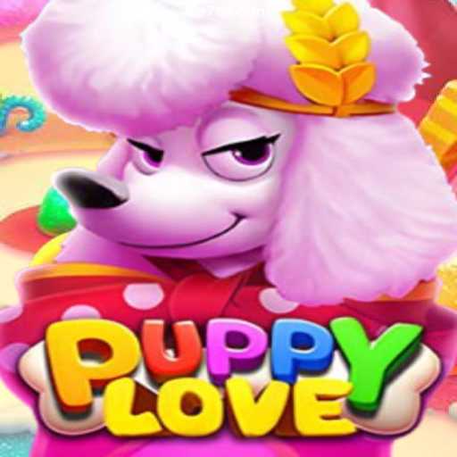 Discover the Enchanting World of PuppyLove: Brazil's Leading Betting Platform